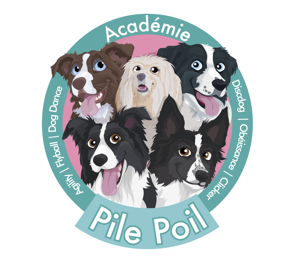 Académie Pile Poil