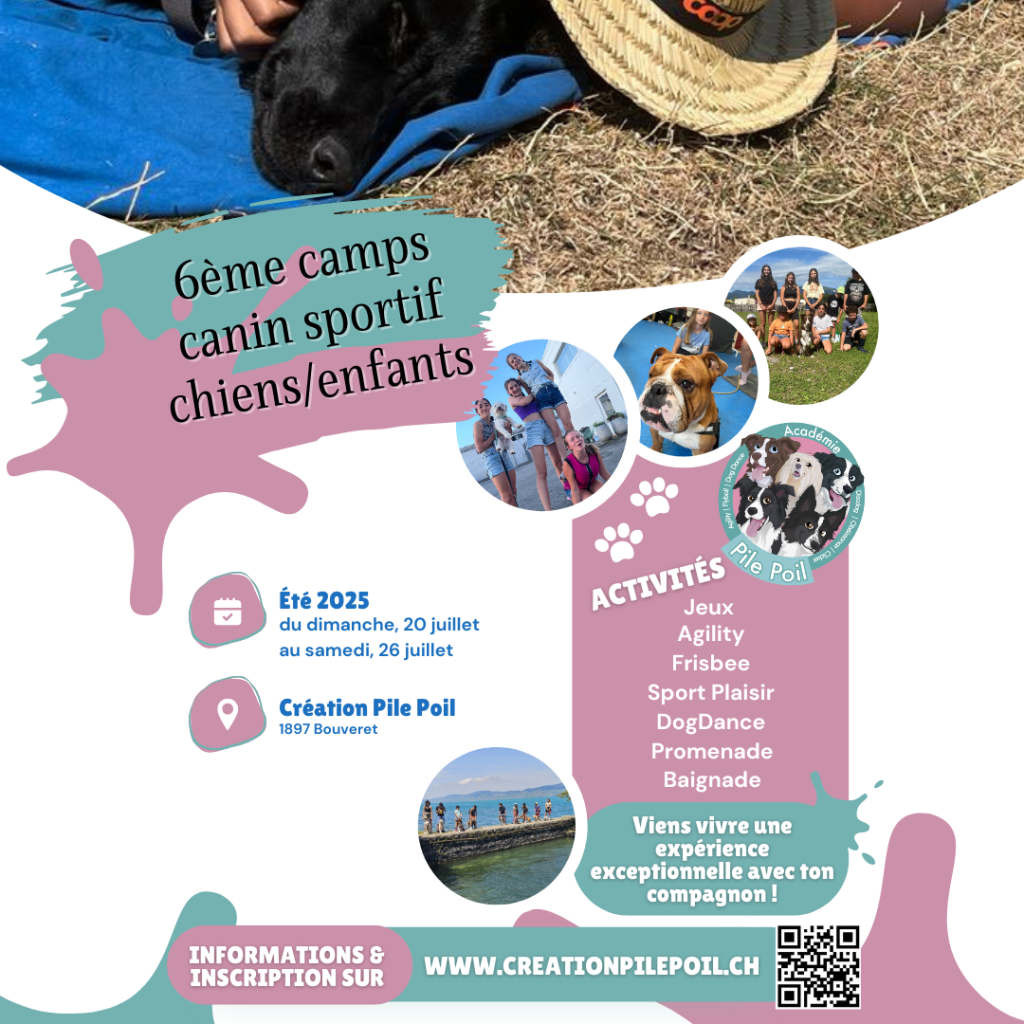 Camps2024insta.png