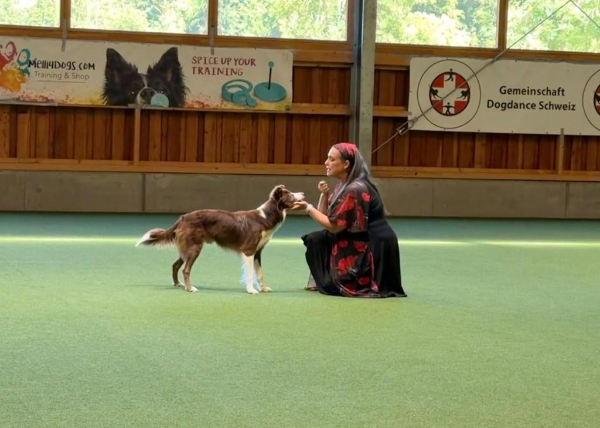 Dog dance 1.jpg