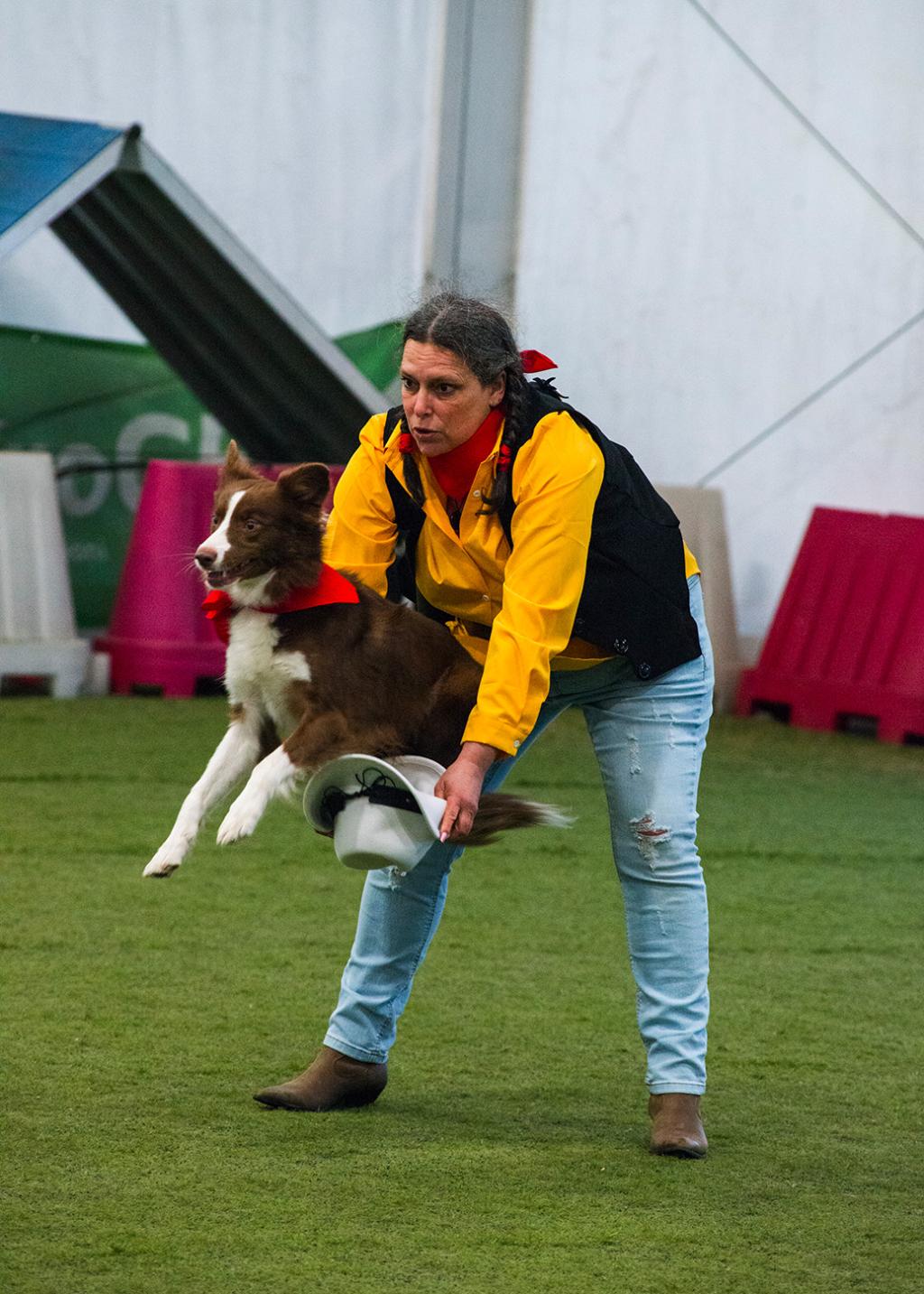 dog dance 4.jpg