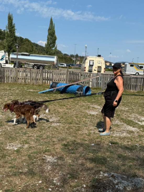 Cani-marche 3.jpeg
